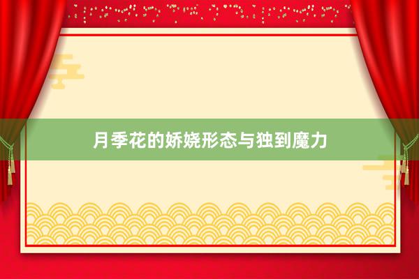 月季花的娇娆形态与独到魔力